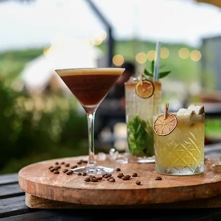 Fiddle + Bow 4* دولين