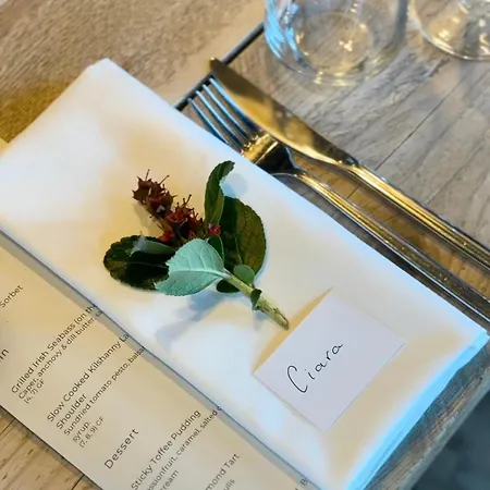 فندق Fiddle + Bow