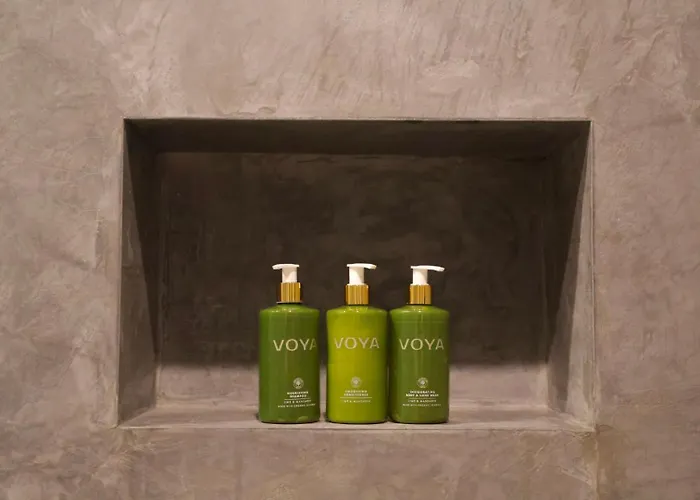 Fiddle + Bow 4* Doolin