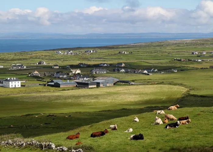 Fiddle + Bow Ξενοδοχείο Doolin